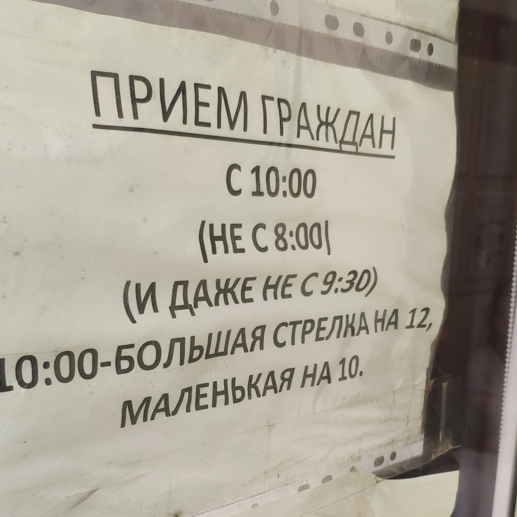 viveska_revizorro.jpg